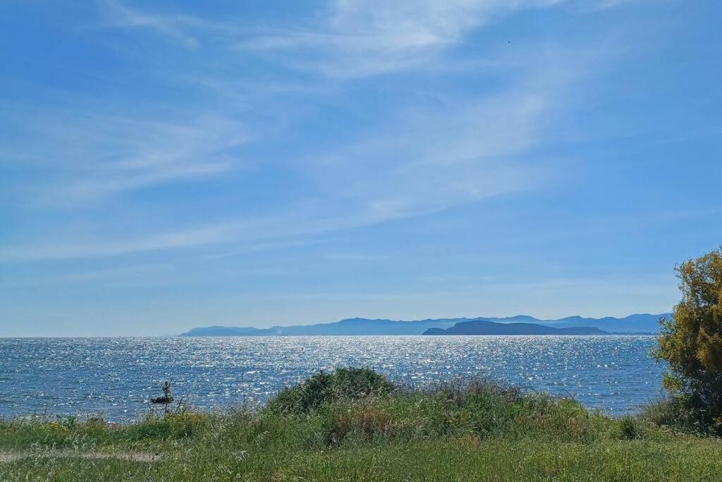 Appartamento Sul Mare Su Forti Exteriér fotografie
